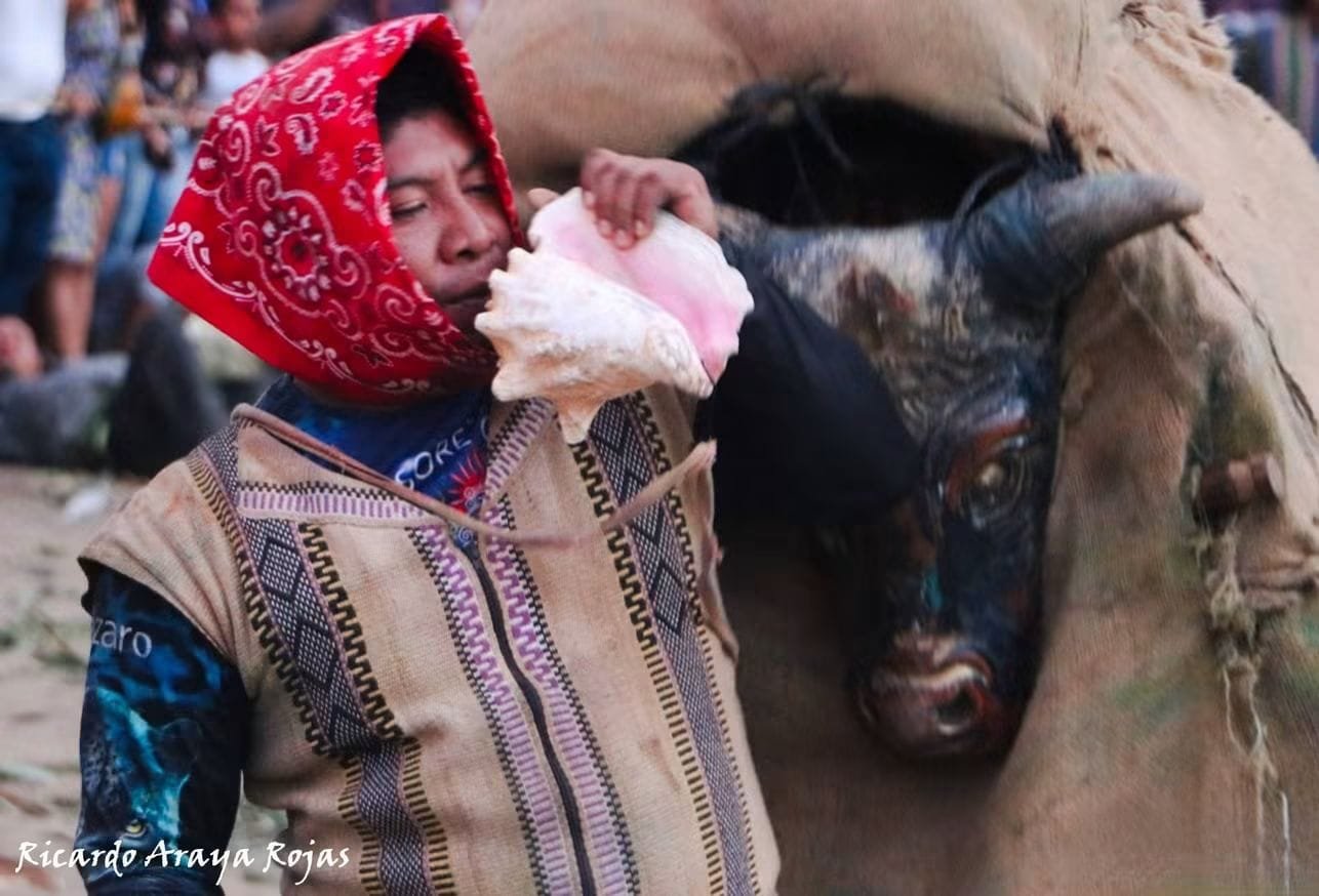 Portador con pañuelo rojo sopla un caracol marino junto a la figura del toro, hecha de tela de saco con una máscara de toro pintada