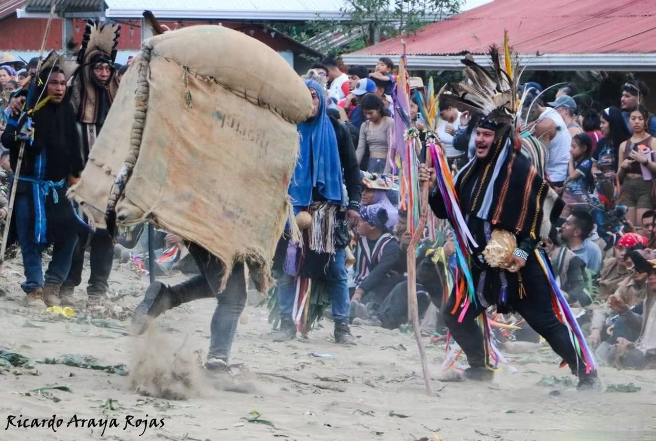 El toro de tela de saco corre entre los guerreros mientras el público observa alrededor